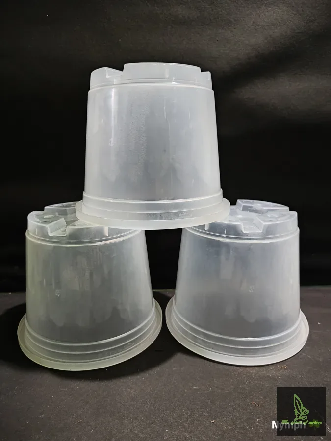 8 inch transparent Pot