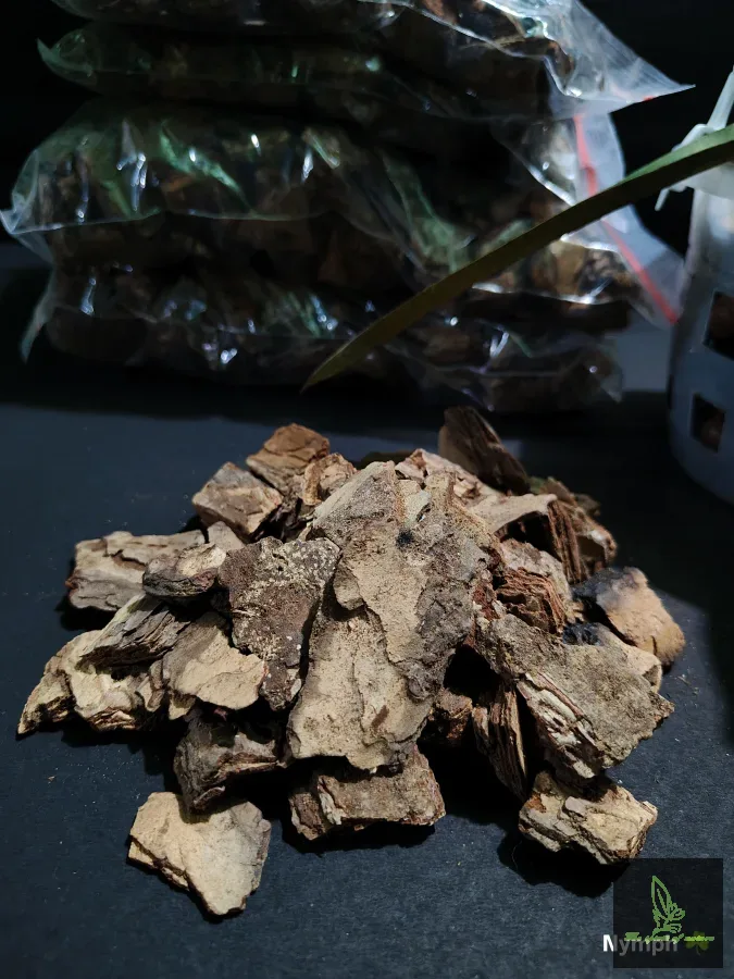 Pine Bark